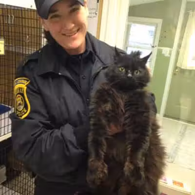 Grosse Ile Animal Shelter - Grosse Ile Township,