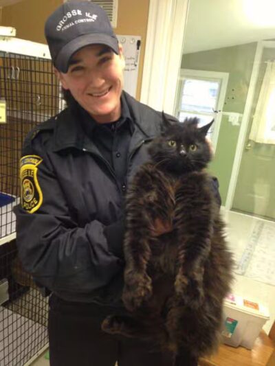 Grosse Ile Animal Shelter - Grosse Ile Township,