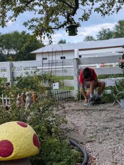 Grosse Ile Animal Shelter - Grosse Ile Township,