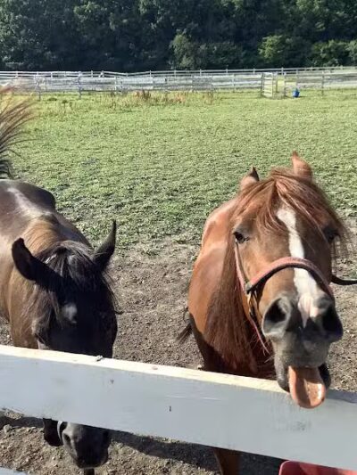 Grosse Ile Twp Centennial Farms - Grosse Ile Township,