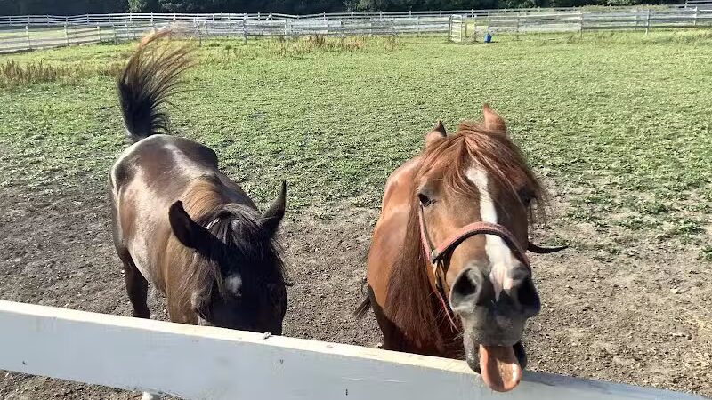 Grosse Ile Twp Centennial Farms - Grosse Ile Township,