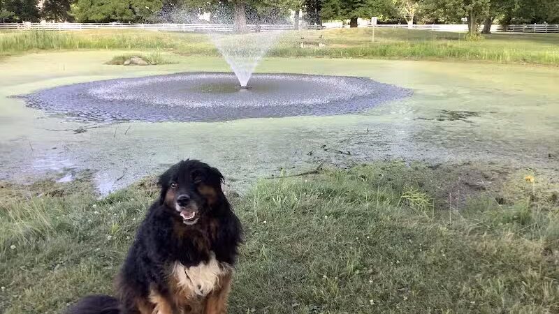 Grosse Ile Twp Centennial Farms - Grosse Ile Township,