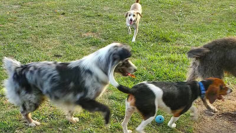 Grosse Ile Twp Centennial Farms - Grosse Ile Township,