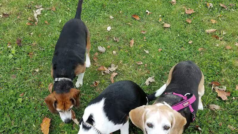 Grosse Ile Twp Centennial Farms - Grosse Ile Township,