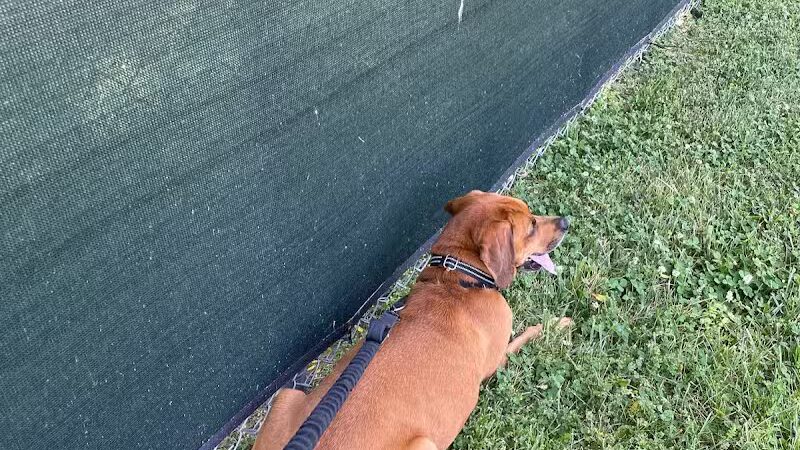 Island Pawadise - Grosse Ile Township,