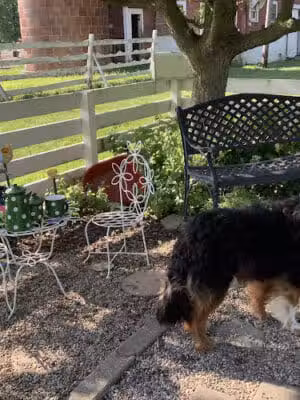 Grosse Ile Twp Centennial Farms - Grosse Ile Township,