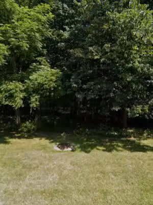 Marion Park - Grosse Ile Township,