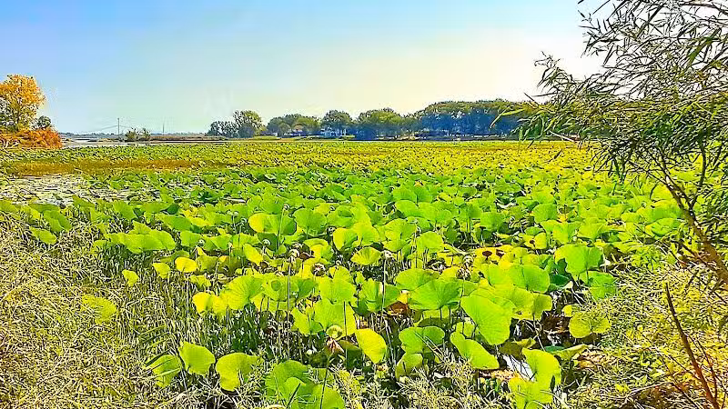Refuge - Grosse Ile Township,