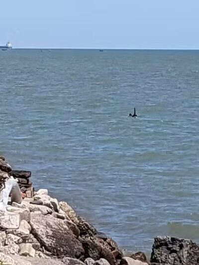 Matthew C. Patterson Park - Grosse Pointe Park,