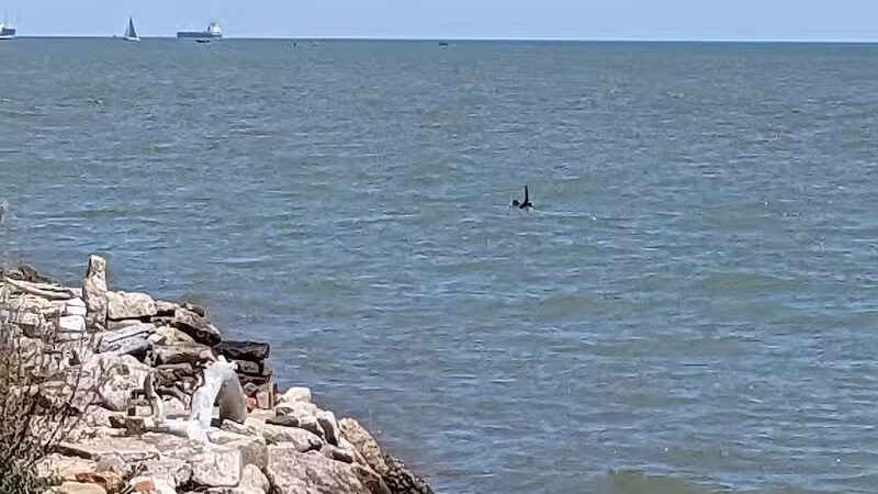 Matthew C. Patterson Park - Grosse Pointe Park,