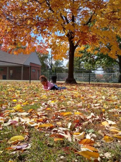 Ghesquiere Park - Grosse Pointe Woods,