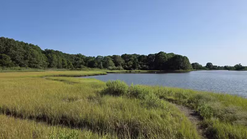 Bluff Point State Park - Groton, CT