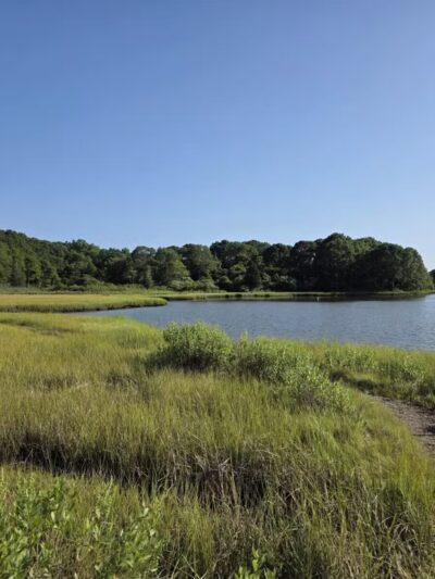 Bluff Point State Park - Groton, CT