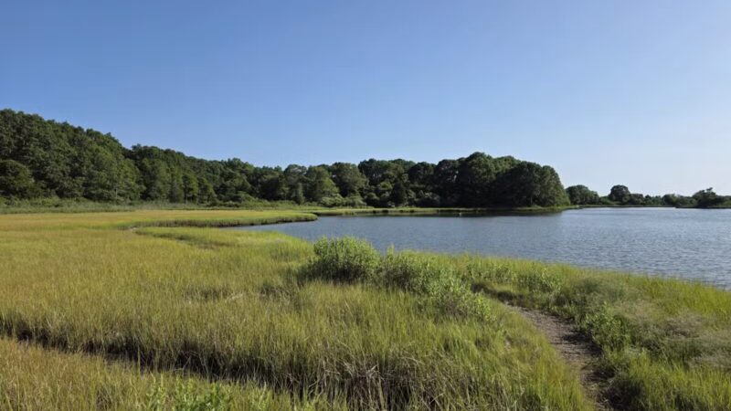 Bluff Point State Park - Groton, CT