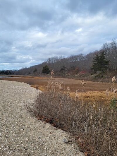 Bluff Point, Groton, Ct - Groton, CT