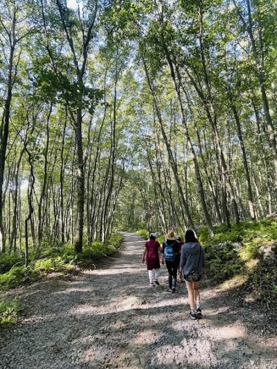 Bluff Point, Groton, Ct - Groton, CT