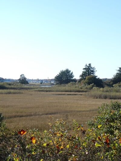 Bluff Point, Groton, Ct - Groton, CT