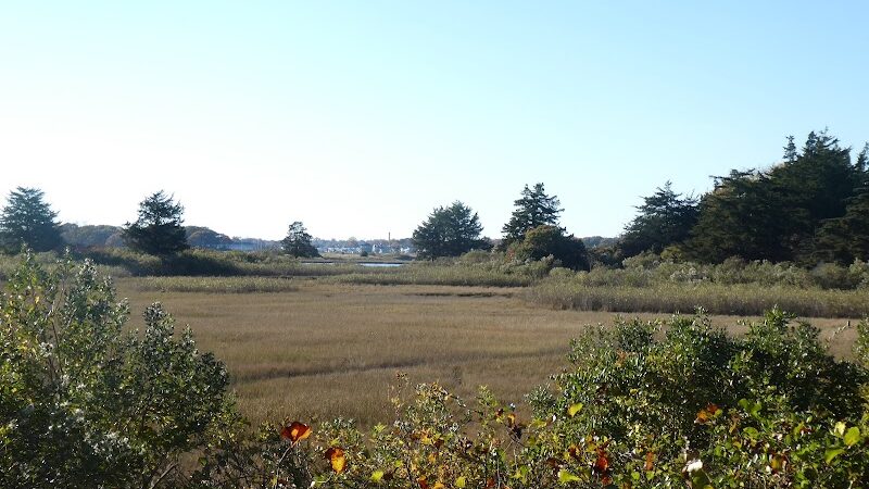 Bluff Point, Groton, Ct - Groton, CT