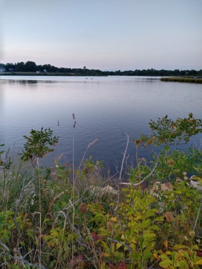 Bluff Point State Park - Groton, CT