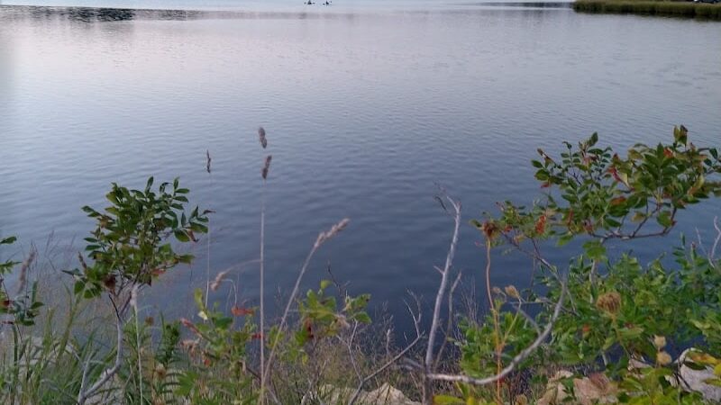 Bluff Point State Park - Groton, CT
