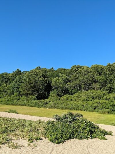 Bluff Point State Park - Groton, CT