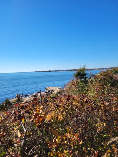 Bluff Point State Park - Groton, CT