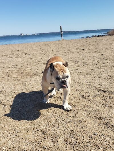 Esker Point Beach - Groton, CT