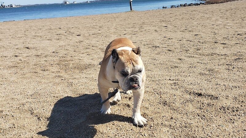 Esker Point Beach - Groton, CT