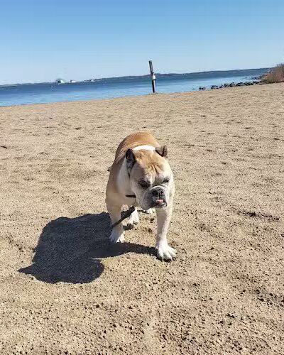 Esker Point Beach - Groton, CT