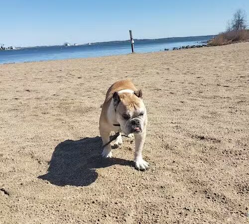 Esker Point Beach - Groton, CT
