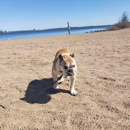 Esker Point Beach - Groton, CT