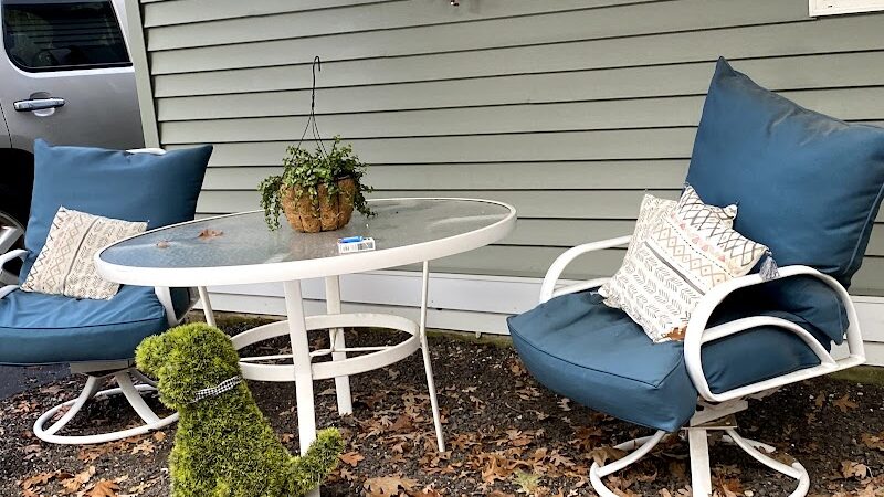 Fun. Play. Bark. - Groton, CT