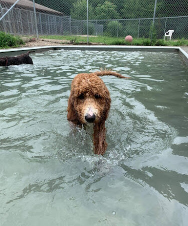 Fun Play Bark Lodge - Groton, CT