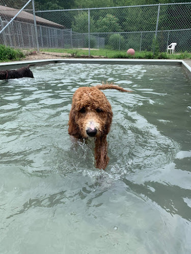 Fun Play Bark Lodge - Groton, CT