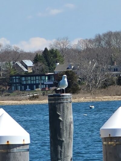 Main Street Dock and Beach - Groton, CT