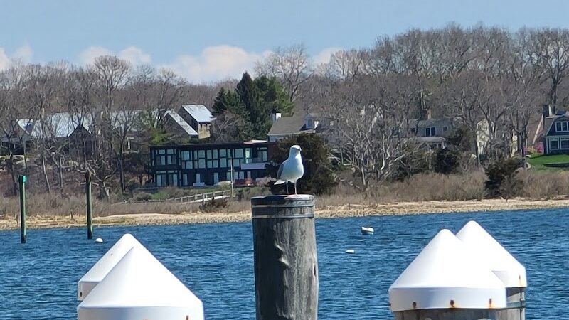 Main Street Dock and Beach - Groton, CT