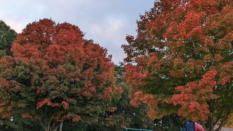 Poquonnock Plains Park - Groton, CT