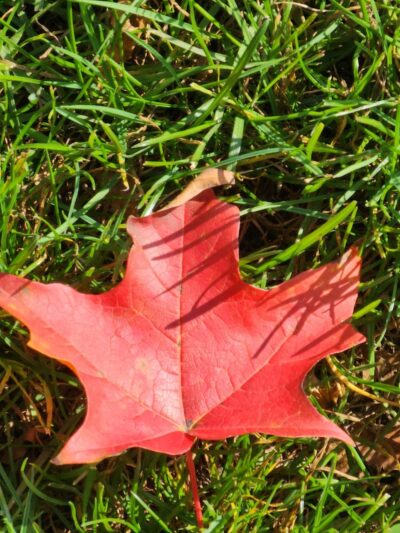 Poquonnock Plains Park - Groton, CT