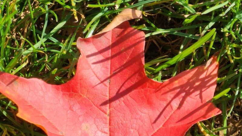 Poquonnock Plains Park - Groton, CT