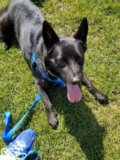 Poquonnock Plains Park - Groton, CT