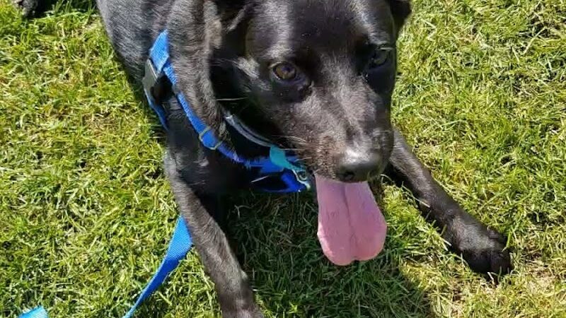 Poquonnock Plains Park - Groton, CT