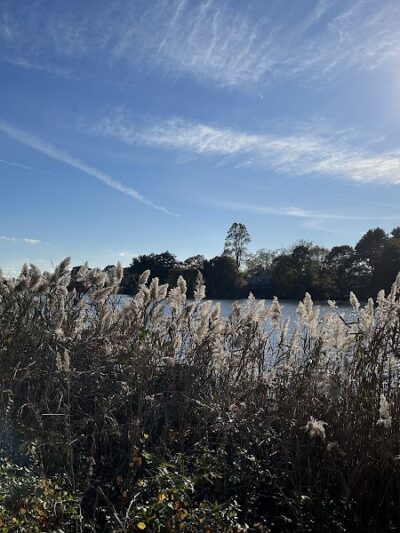 Poquonnock River Boardwalk - Groton, CT