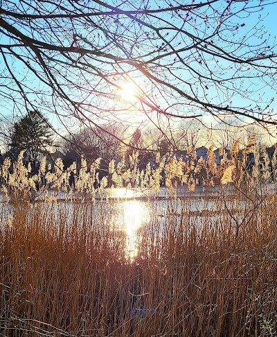 Poquonnock River Boardwalk - Groton, CT