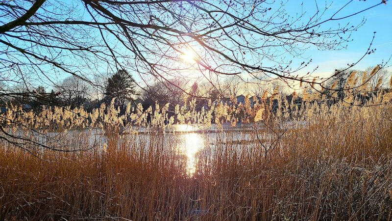 Poquonnock River Boardwalk - Groton, CT