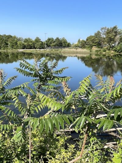 Poquonnock River Boardwalk - Groton, CT