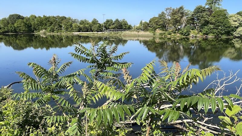 Poquonnock River Boardwalk - Groton, CT