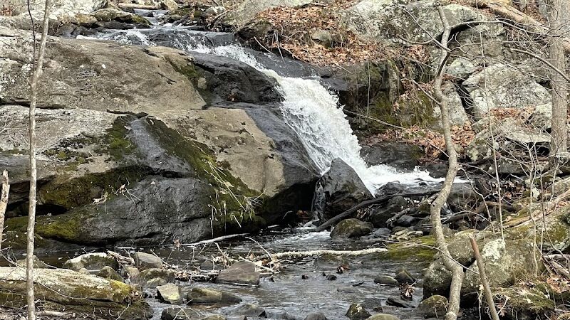 Sheep Farm Park - Groton, CT