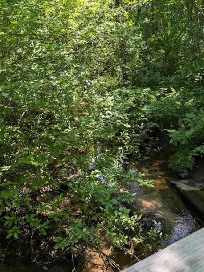 Sheep Farm Park - Groton, CT