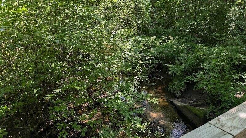 Sheep Farm Park - Groton, CT