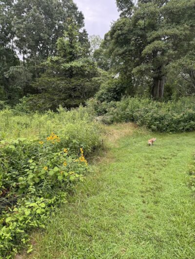 Sheep Farm Park - Groton, CT